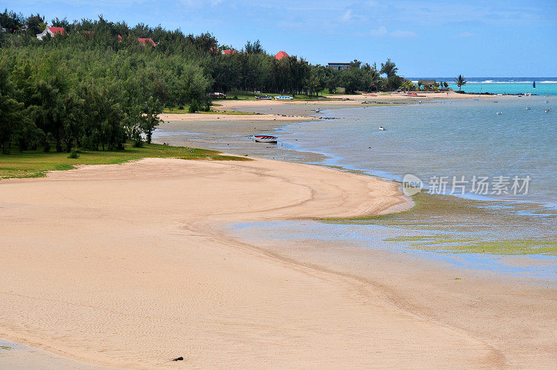 Anse Mourouk，罗德里格斯岛，毛里求斯:沙滩和木麻黄树